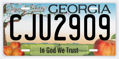 GA license plate CJU2909