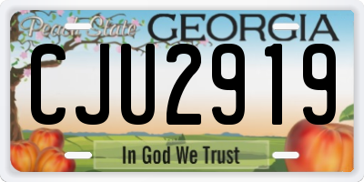 GA license plate CJU2919