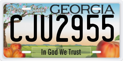 GA license plate CJU2955