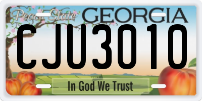 GA license plate CJU3010