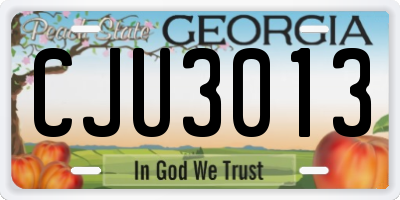 GA license plate CJU3013