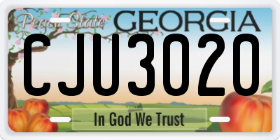 GA license plate CJU3020