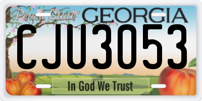 GA license plate CJU3053