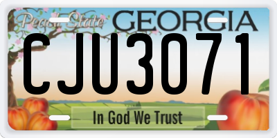 GA license plate CJU3071