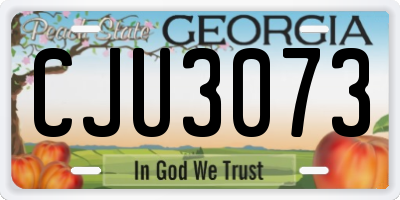 GA license plate CJU3073