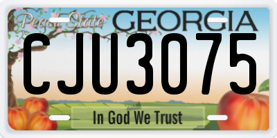 GA license plate CJU3075