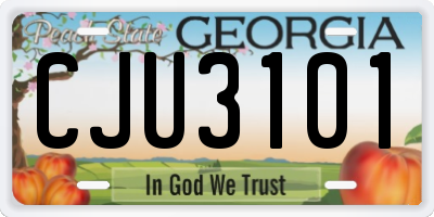 GA license plate CJU3101