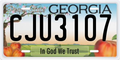 GA license plate CJU3107