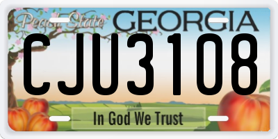 GA license plate CJU3108
