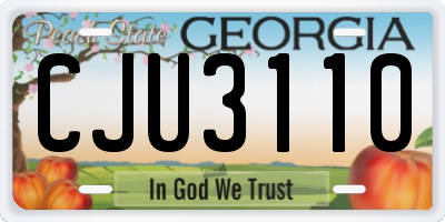 GA license plate CJU3110