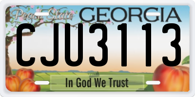 GA license plate CJU3113