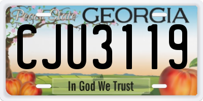 GA license plate CJU3119