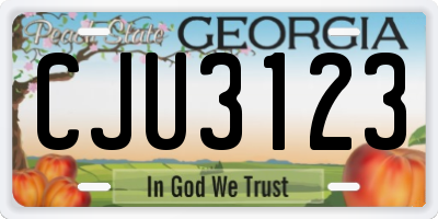 GA license plate CJU3123