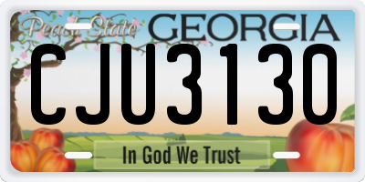 GA license plate CJU3130
