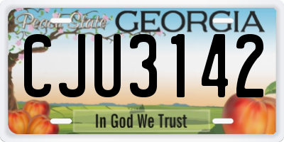 GA license plate CJU3142