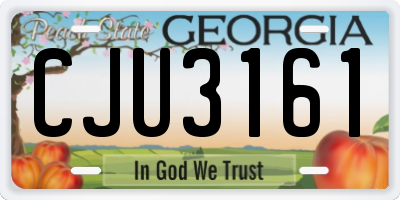 GA license plate CJU3161