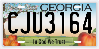 GA license plate CJU3164