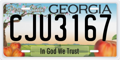 GA license plate CJU3167