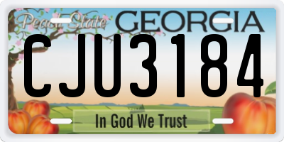 GA license plate CJU3184