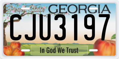 GA license plate CJU3197