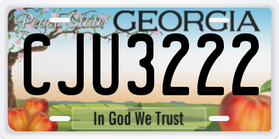 GA license plate CJU3222