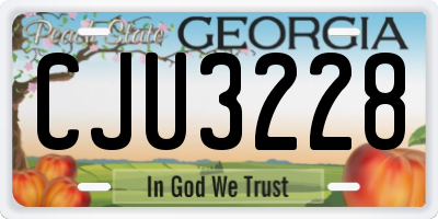 GA license plate CJU3228