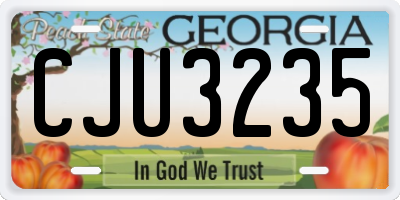 GA license plate CJU3235
