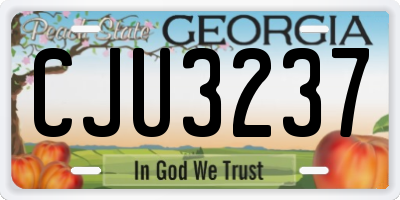 GA license plate CJU3237