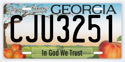 GA license plate CJU3251