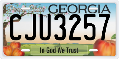 GA license plate CJU3257