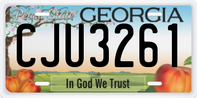 GA license plate CJU3261