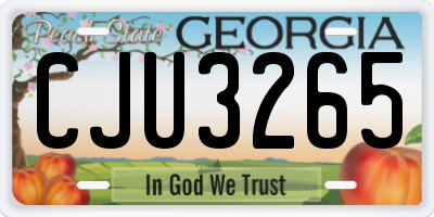 GA license plate CJU3265