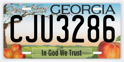 GA license plate CJU3286