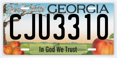 GA license plate CJU3310