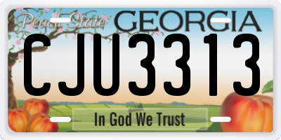 GA license plate CJU3313