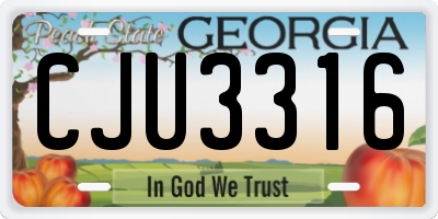 GA license plate CJU3316