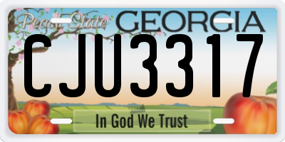 GA license plate CJU3317