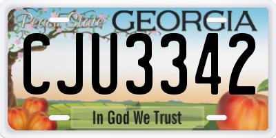 GA license plate CJU3342