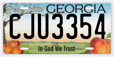 GA license plate CJU3354
