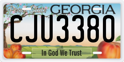GA license plate CJU3380