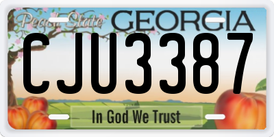 GA license plate CJU3387