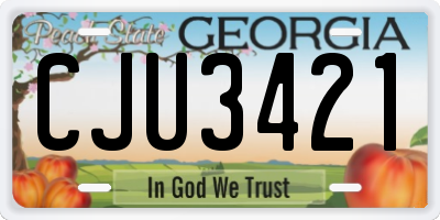 GA license plate CJU3421