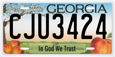 GA license plate CJU3424