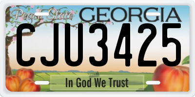 GA license plate CJU3425