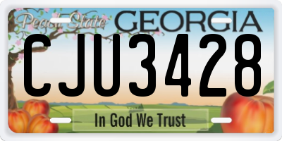 GA license plate CJU3428