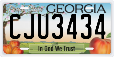 GA license plate CJU3434