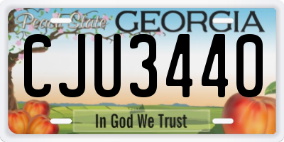 GA license plate CJU3440