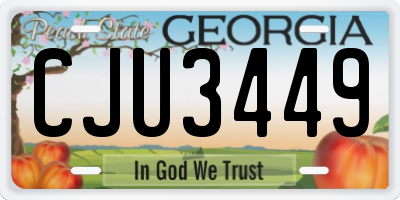 GA license plate CJU3449
