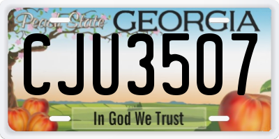 GA license plate CJU3507