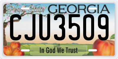 GA license plate CJU3509